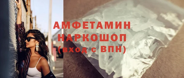 прущие грибы Алзамай