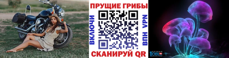 где можно купить   Советск  мега онион  Псилоцибиновые грибы Magic Shrooms 